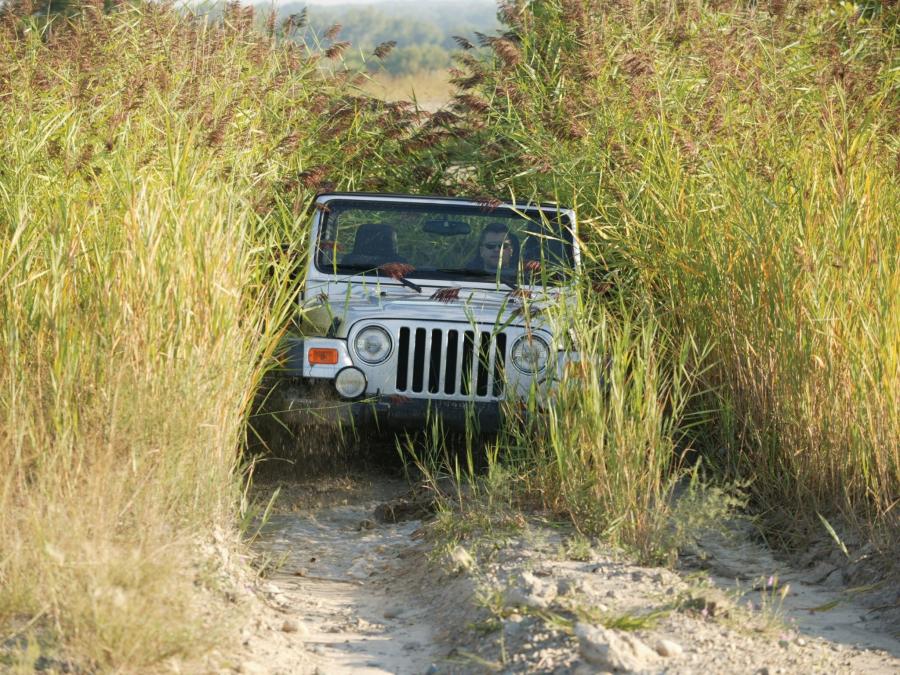  Jeep Wrangler 2005 года  (фото 19 из 21)